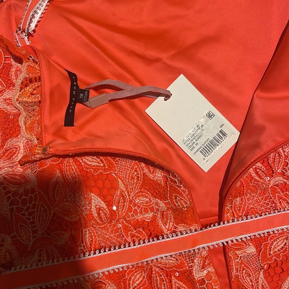 Alex Marie
Crystal Embroidered Lace Sleeveless Dress - Picture 9 of 10